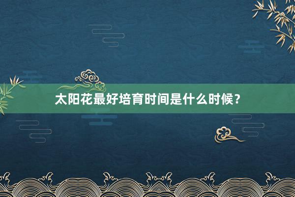 太阳花最好培育时间是什么时候？